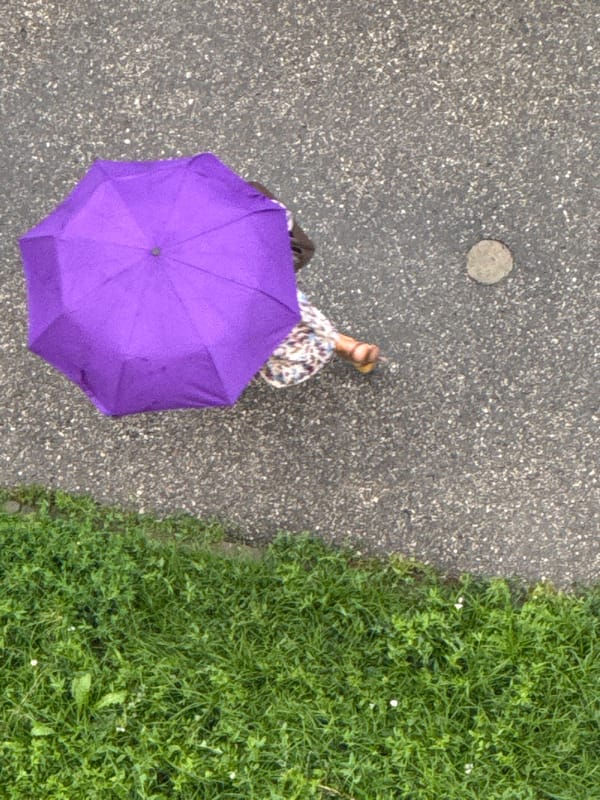 Rainy morning street activity in Nizhny Novgorod, robot and all.
