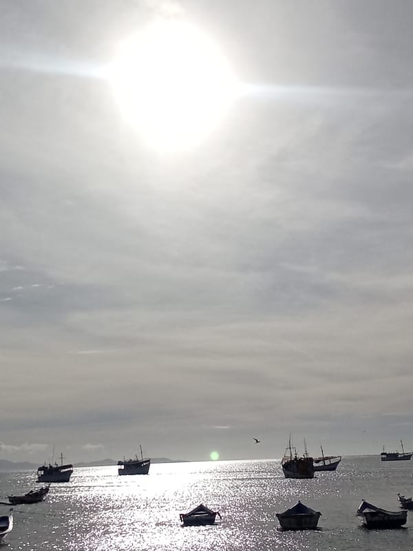 Coastal fishing village Juan Griego documented by witness