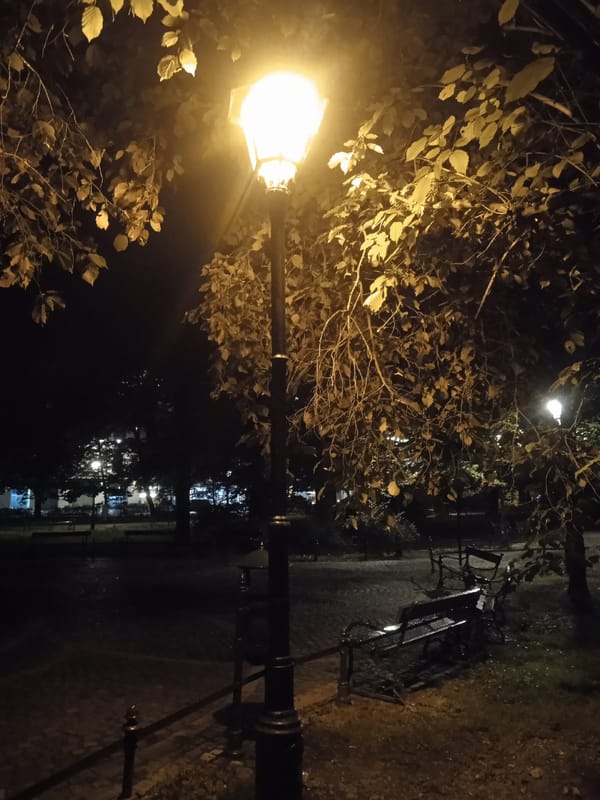 Nighttime stroll through a quiet urban park