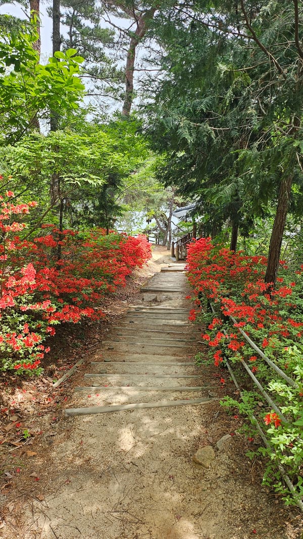 Traditional pavilion and flower-lined walkway documented in Ulsan park