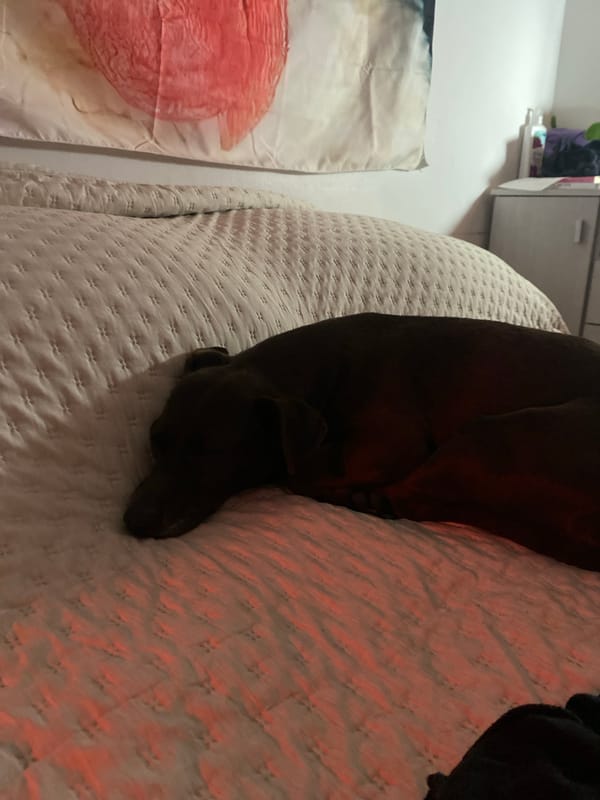 Buenos Aires resident documents quiet domestic moments, video call