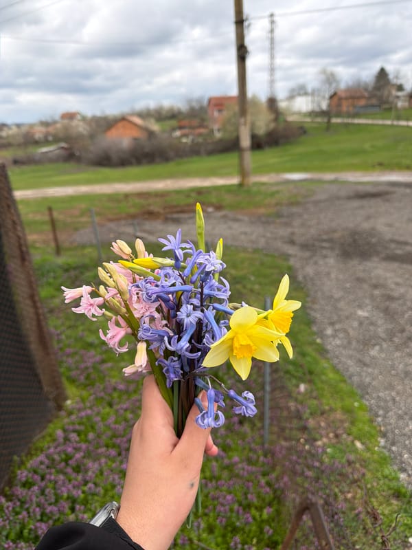 Spring blooms captured across Bulgarian countryside villages