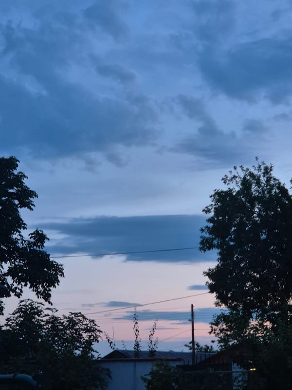 Woman documents evening activities with dog, garden, twilight scenes