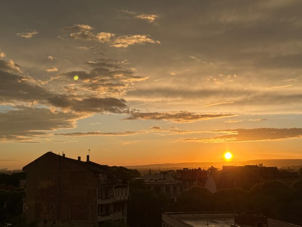 Cat watches sunset over Varna, Bulgaria from window perch