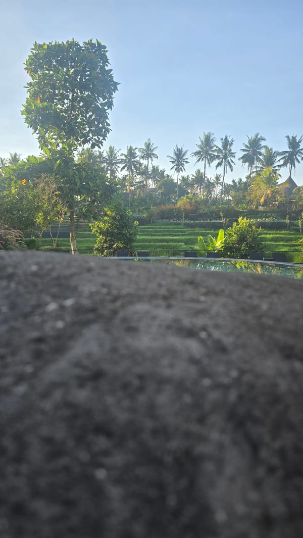 Tourist captures scenic Ubud rice fields and tropical landscapes