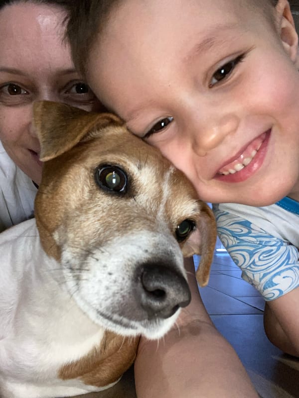 Family enjoys quiet afternoon at home in Chaikovsky