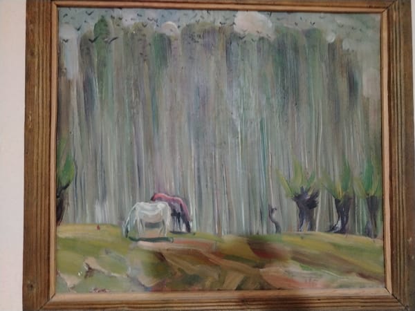 Oil paintings and an aquarium inside a Nukus home