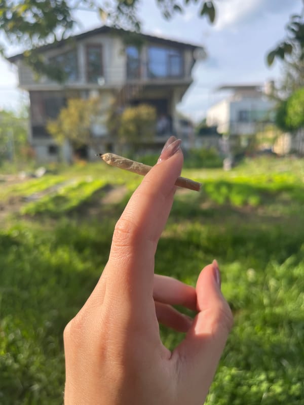 Smoking break near vegetable garden documented in Varna