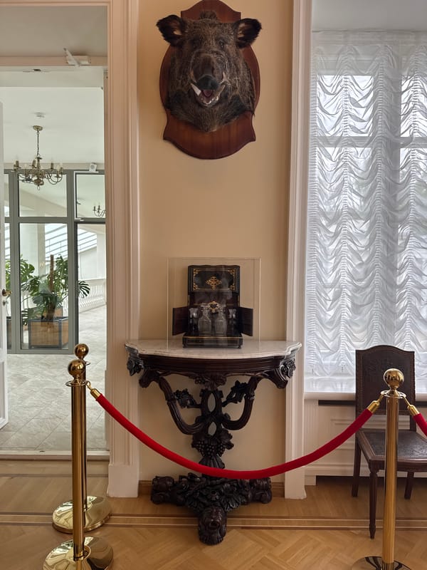 Witness documents rural Belarus village interiors and grounds