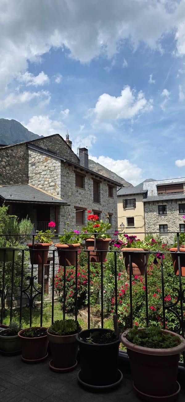Stone buildings and blooming roses documented in Benasque village