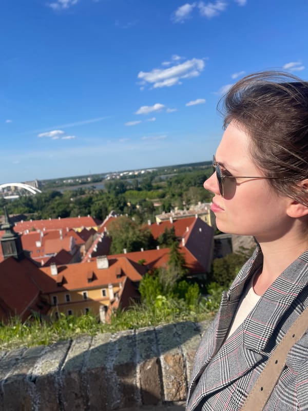 Tourist photographs Petrovaradin Fortress overlook on sunny afternoon