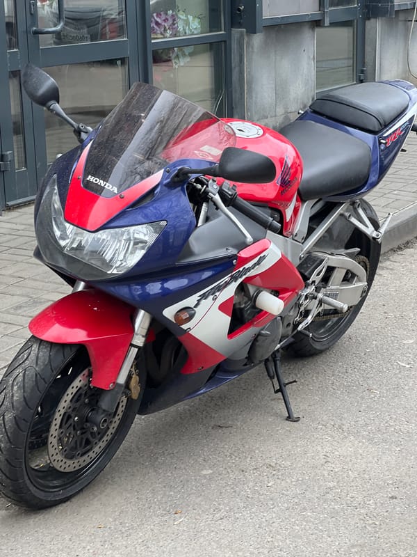 Morning dog walk observed in Mytishchi residential area