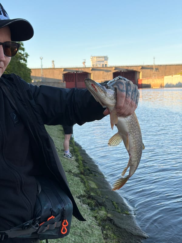 Angler displays caught northern pike in Chaikovsky, Russia