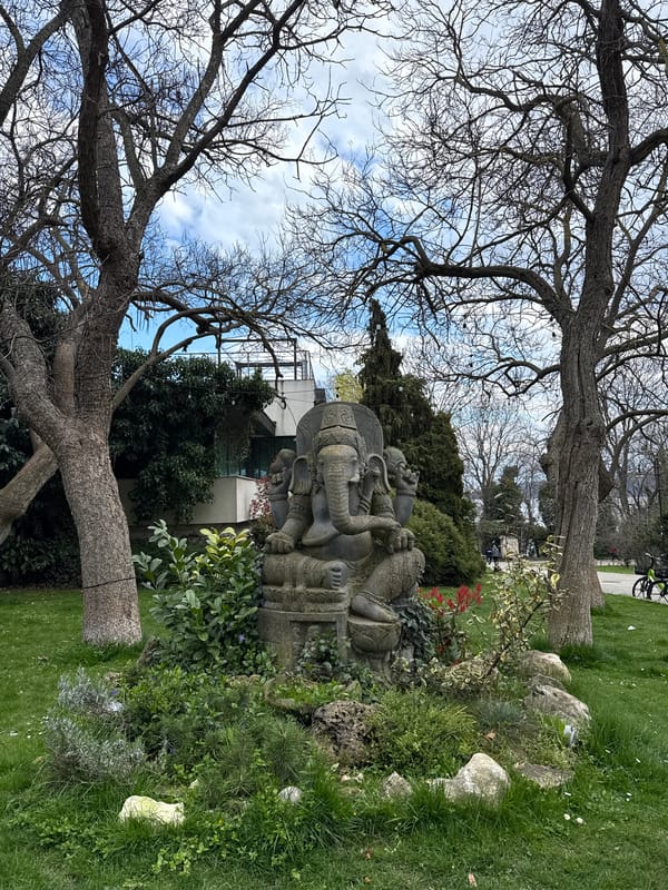 Spring wildlife and waterfront activity observed in Varna, Bulgaria