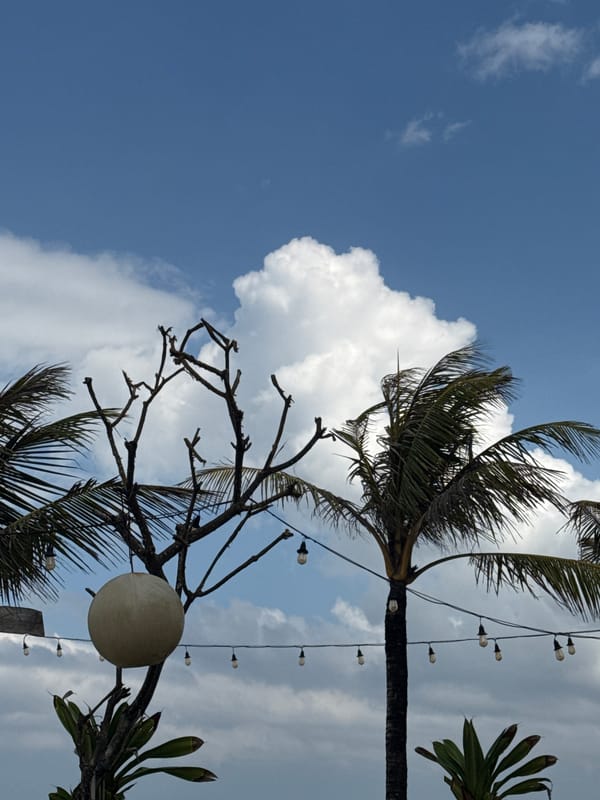 Rocky Balinese coastline and surroundings, Mengwi, June 2026