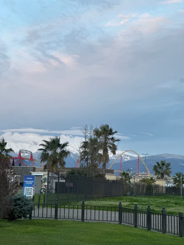 Roller coaster spotted amid palm trees in Sirius, Russia