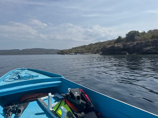 Dive boat trip off Gerokgak with deer on the beach