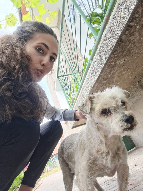 Woman's casual day captured in selfies with pets