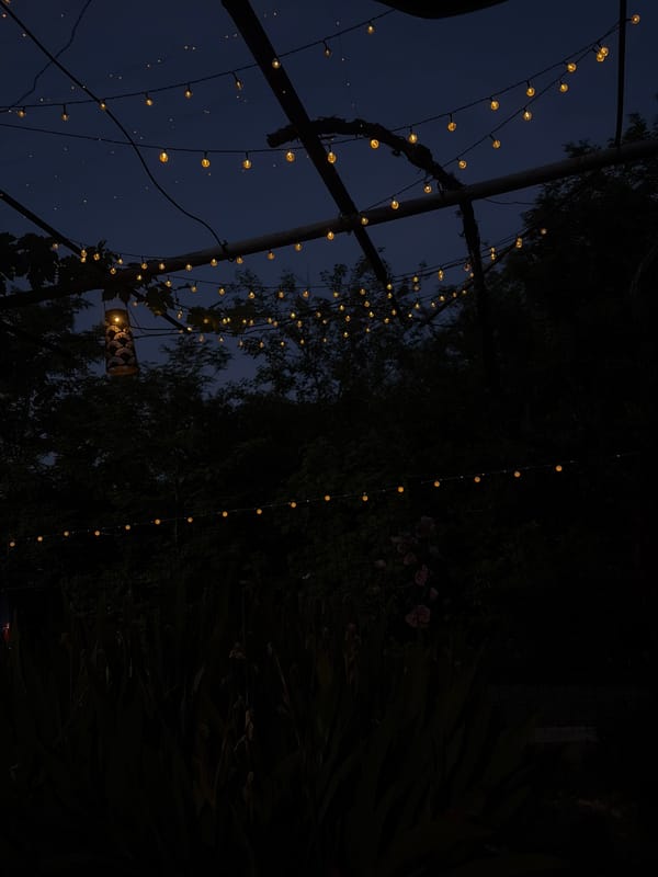 Warm evening gathering at a lit garden patio in Baurene