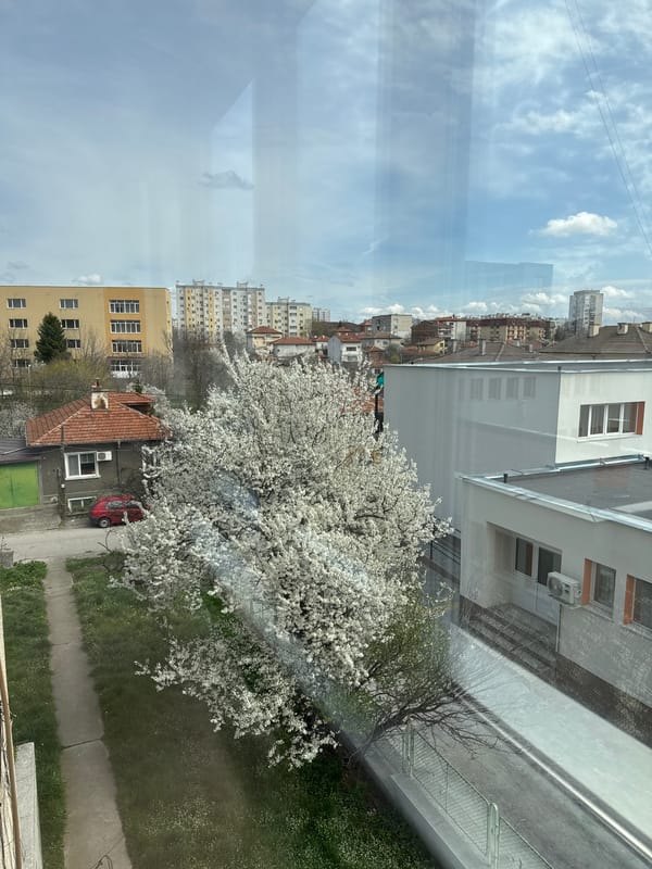 Casual afternoon at home with takeout in Haskovo Bulgaria