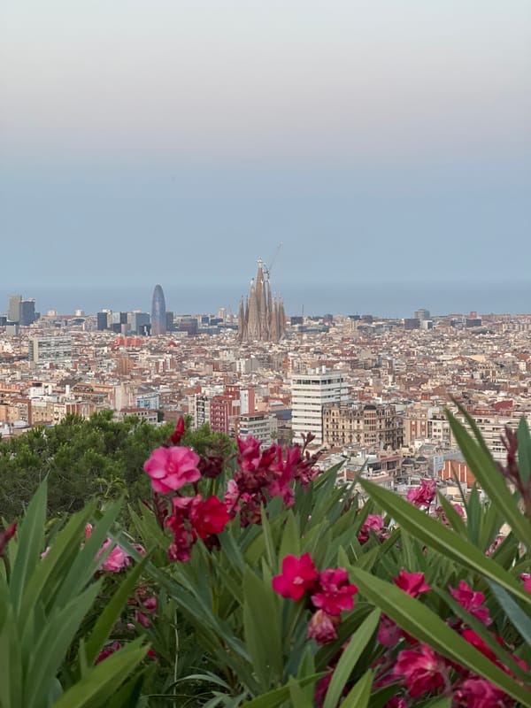 Barcelona at dusk, from hilltop views to a Pilates studio