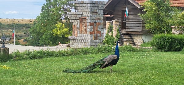 Rustic Bulgarian guesthouse complex with wildlife roaming the grounds