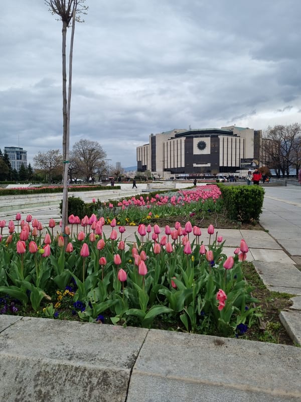 Spring blooms and city life documented across Sofia landmarks