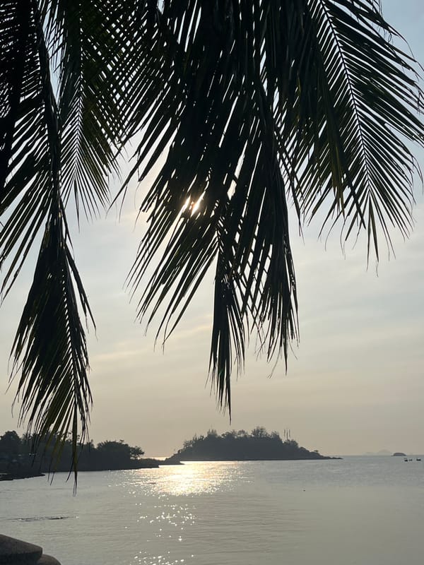Tourist documents Nha Trang's landscapes and litter in Vietnam