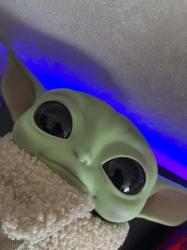 Rubber ducks, Funko Pops, and flowers in a Babruysk room