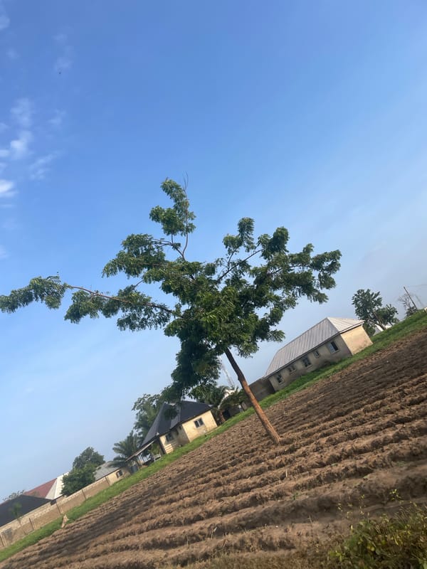 Rural Keffi, Nigeria documented in 19 photographs over 10 minutes