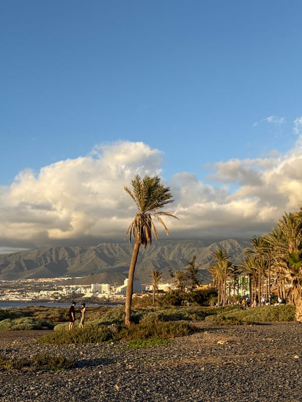 Coastal scenes captured across southern Tenerife tourist areas
