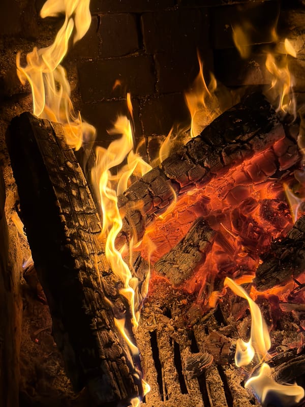 Outdoor cooking session documented in Bulgarian village