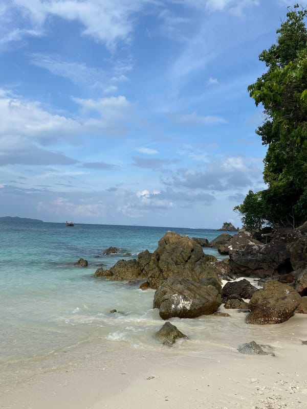 Exploring a Thai beach shore, coral in hand
