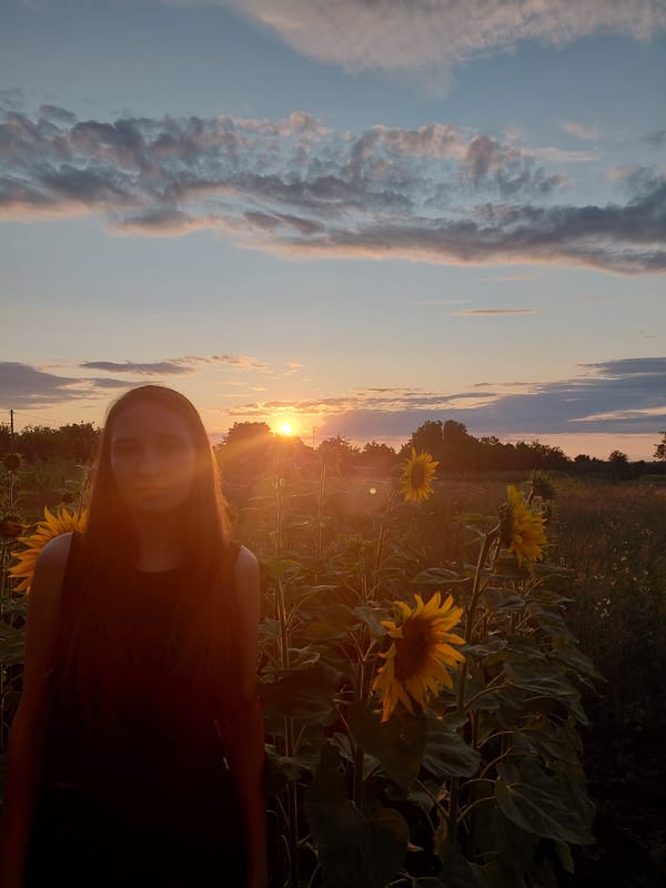 Golden hour in a sunflower field, rural surroundings