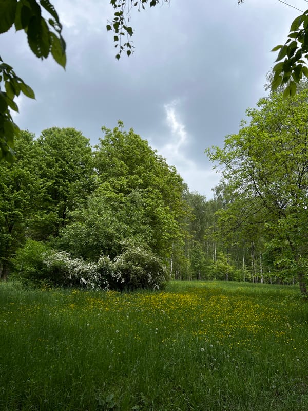 Spring park walk documented in Ternopil, Ukraine