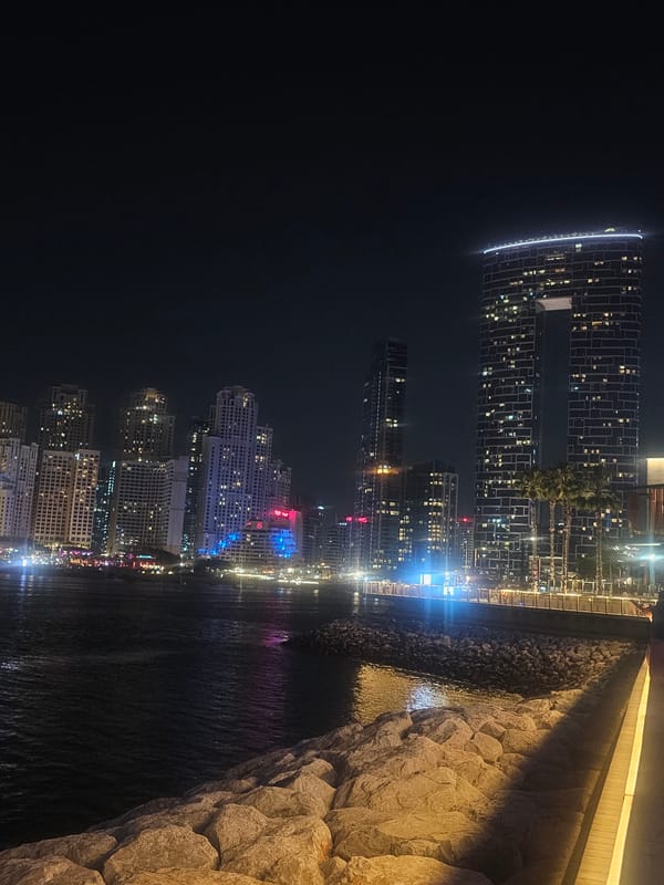 Dubai waterfront skyline captured in nighttime views