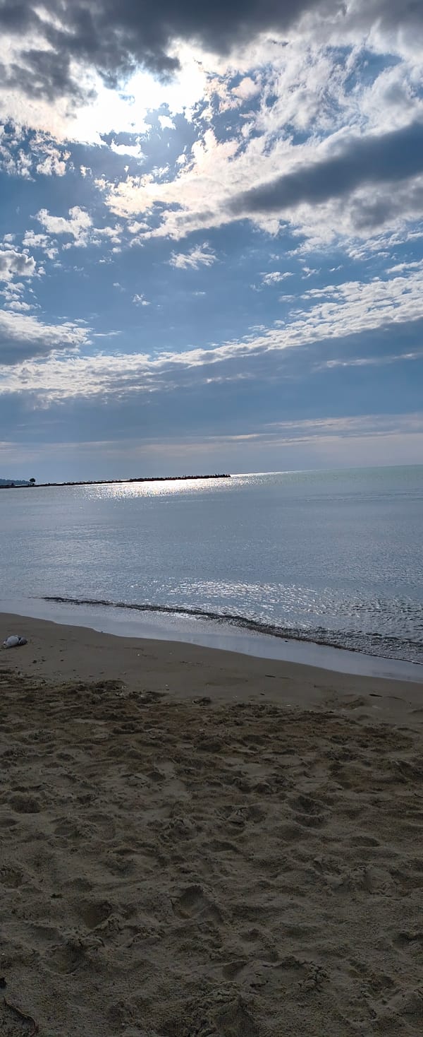 Early morning beach visit with dog in Varna, Bulgaria
