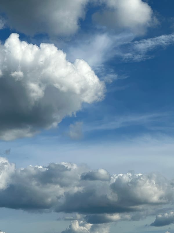 Tabby cat's lazy afternoon documented amid changing skies