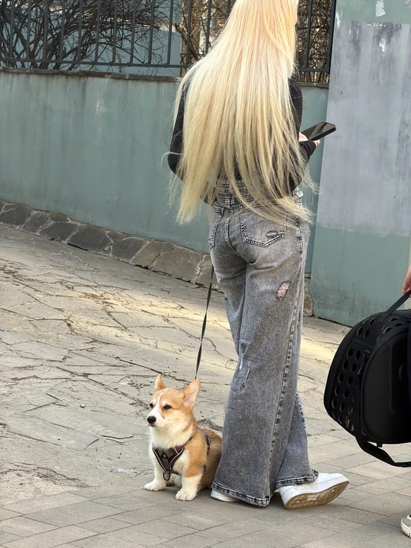 Two women walk corgi on Voronezh sidewalk Saturday afternoon