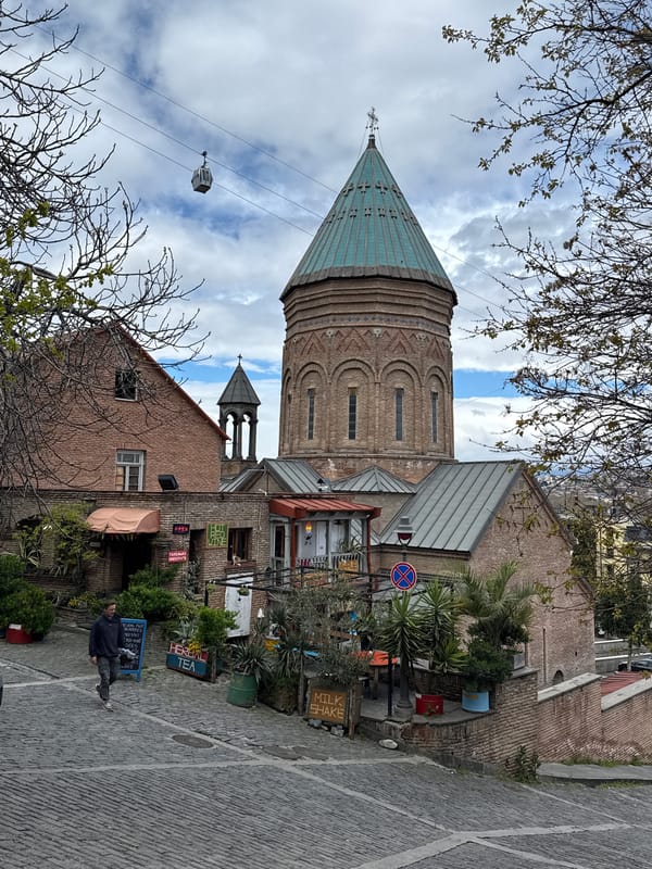 Woman pets cat near historic Tbilisi fortress