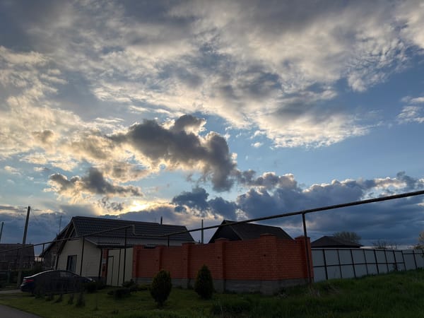 Urban life snapshots: cats, sheep, residential scenes documented