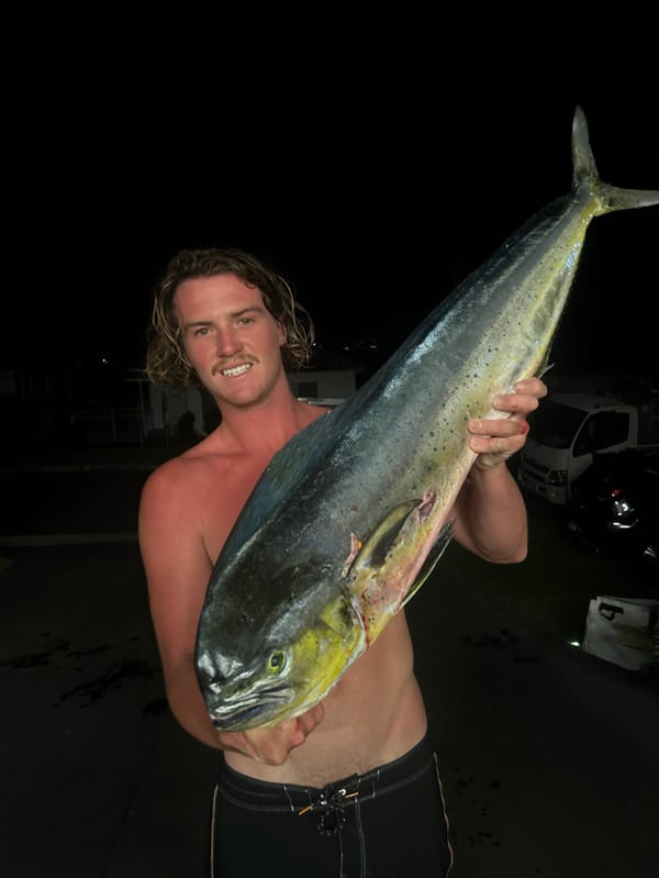 Man displays large Mahi-Mahi catch at night in Bulli
