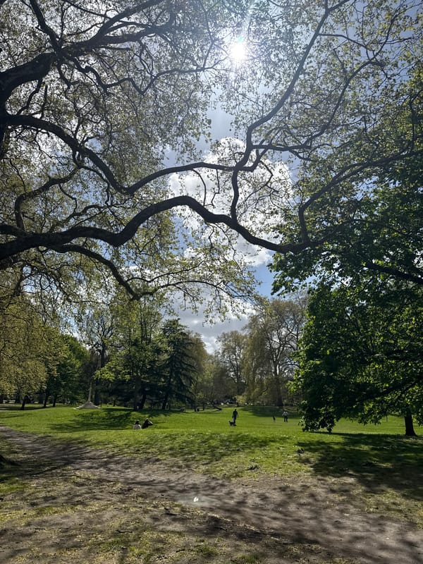 Spring afternoon activity captured in London tree-lined park