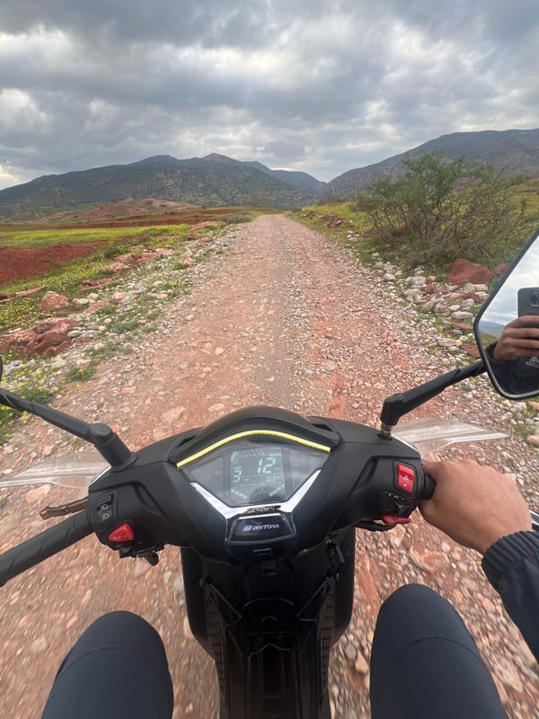Motorcyclist documents scenic ride through Morocco wildflower fields
