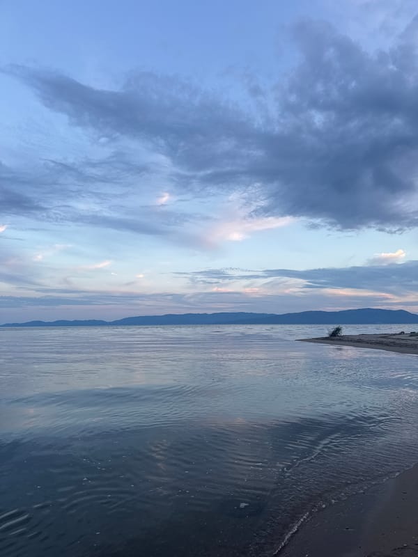 Sunset evening at a sandy waterfront with fishing and a dog