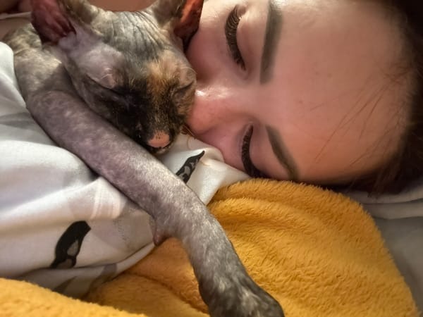 Person shares quiet moments with cats during evening hours