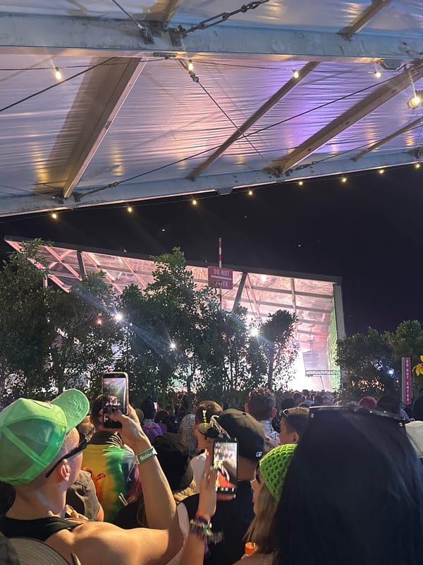Festival scenes documented including signage, crowds, wooden installation structure