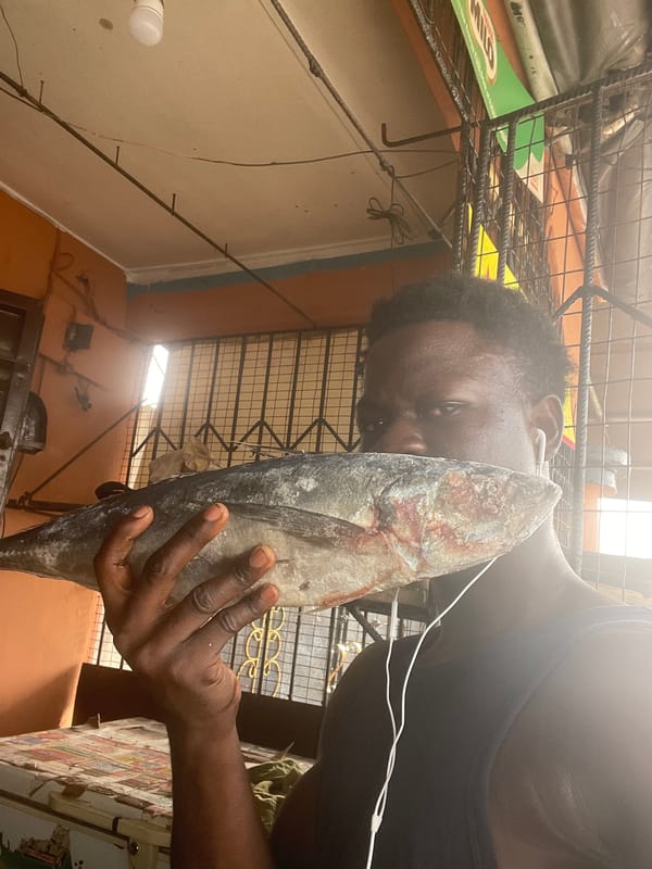 Fish preparation and market activity documented in Badagry, Nigeria