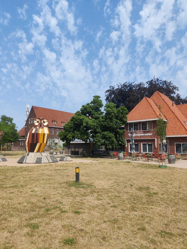 Street-level tour through Winterswijk's town centre on a summer morning