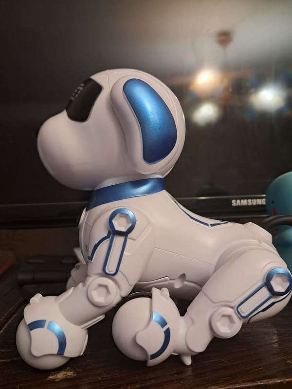 Colorful toy collection spanning robots, astronauts, and RC cars